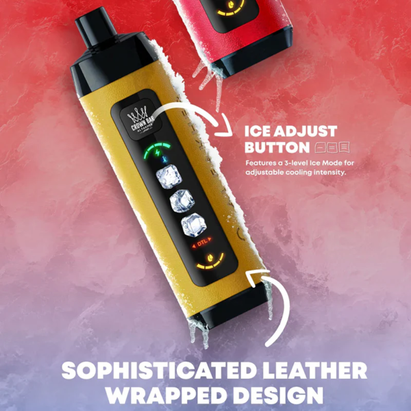 AL Fakher Ice Adjust 15000 Puffs B
