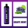 AL Fakher Ice Adjust 15000 Puffs D