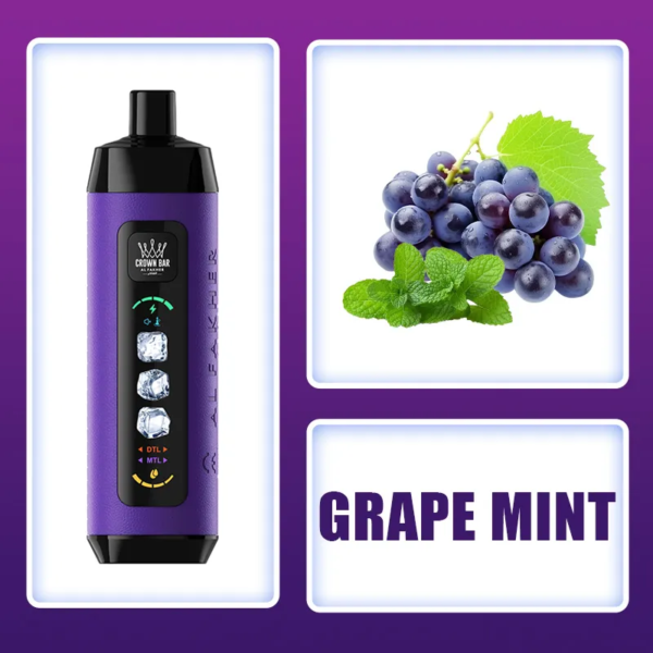 AL Fakher Ice Adjust 15000 Puffs D