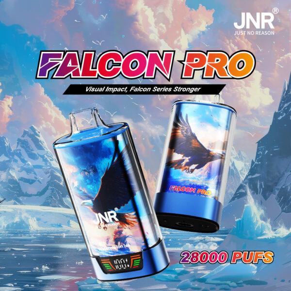 JNR Falcon Pro 28000 Puffs B