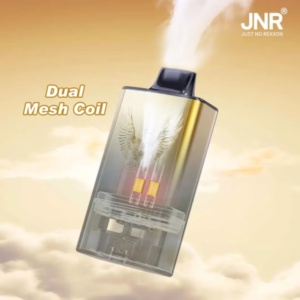 JNR Mega Box Pro 50000 Puffs C