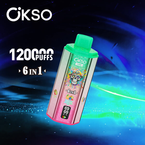 OKSO 6in1 120K Puffs E