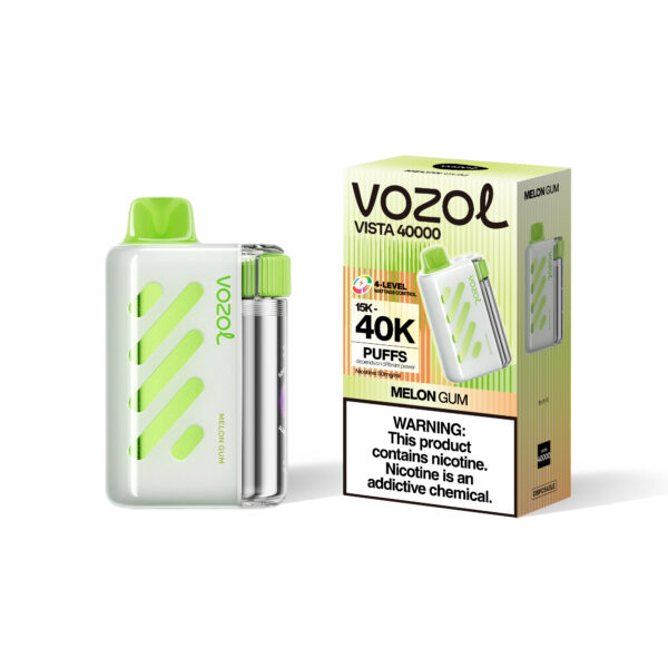 Vozol Vista 40000 Puffs D