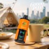 ATVS 60000 Puffs C ATVS 60000 Puffs C