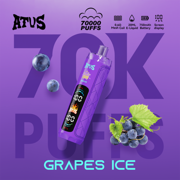 ATVS 70000 Puffs E