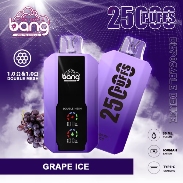 Bang 25000 Puffs C Bang 25000 Puffs C