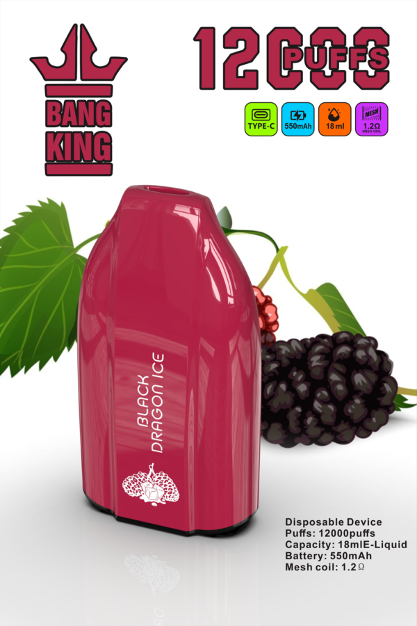 Bang King 12000 Puffs E Bang King 12000 Puffs E