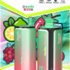 Bang King 250K Puffs 4in1 D