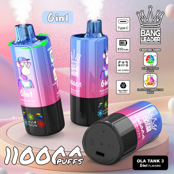 Bang Leader 110K Puffs 6in1 A Bang Leader 110K Puffs 6in1 A