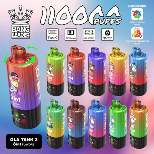 Bang Leader 110K Puffs 6in1 B Bang Leader 110K Puffs 6in1 B