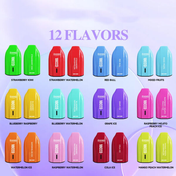 Bang Leader 18000 Puffs B