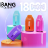 Bang Leader 18000 Puffs C