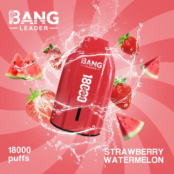 Bang Leader 18000 Puffs D