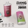 Bang Leader 20000 Puffs A