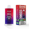 Bang Leader 20000 Puffs E