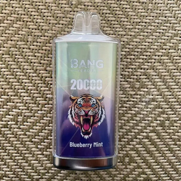 Bang Leader 20000 Puffs F