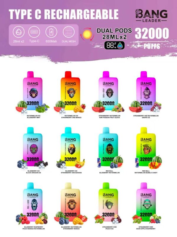 Bang Leader 32000 Puffs B