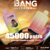 Bang Leader 45000 Puffs B