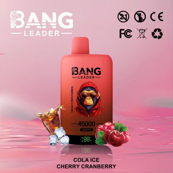 Bang Leader 45000 Puffs C