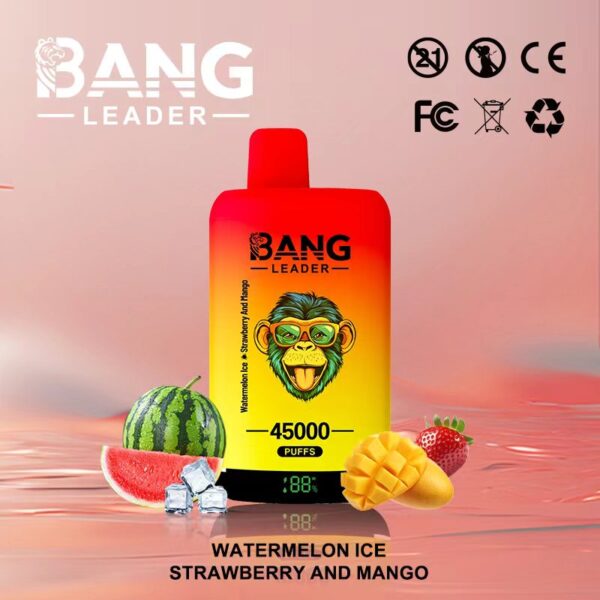 Bang Leader 45000 Puffs D