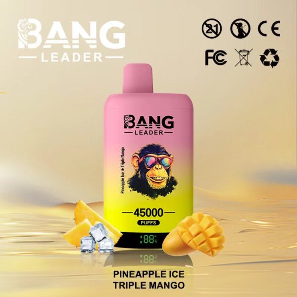 Bang Leader 45000 Puffs E