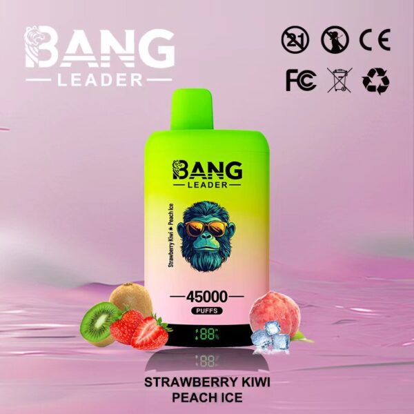 Bang Leader 45000 Puffs F
