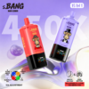 Bang Leader 450K Puffs 15in1 A