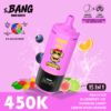 Bang Leader 450K Puffs 15in1 E