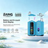 Bang Leader 50000 Puffs A