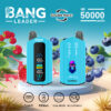 Bang Leader 50000 Puffs C