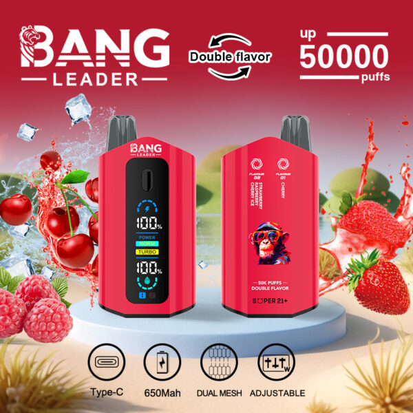Bang Leader 50000 Puffs F