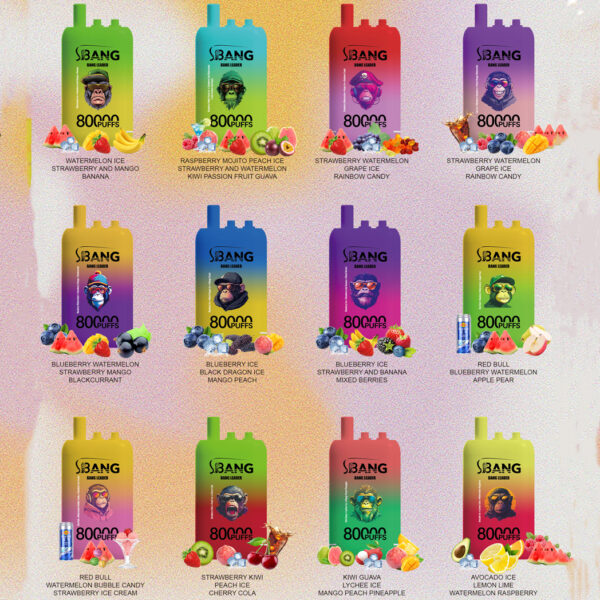 Bang Leader 80000 Puffs B