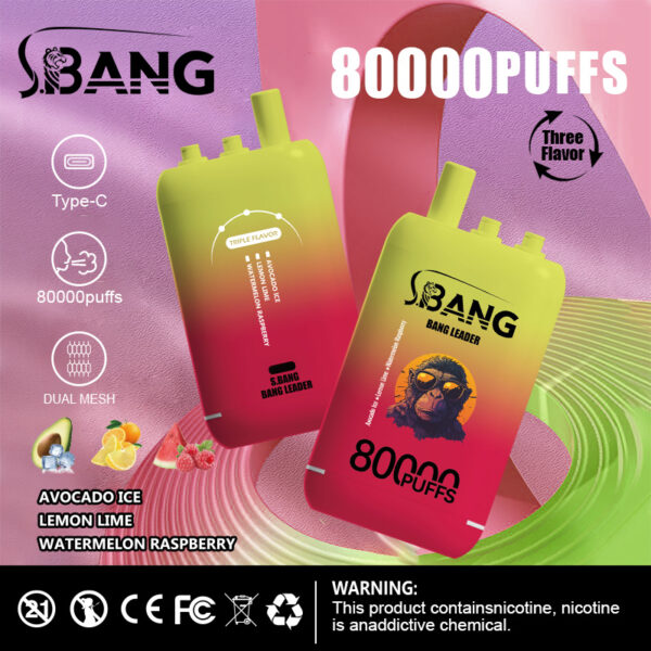 Bang Leader 80000 Puffs C