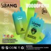 Bang Leader 80000 Puffs D