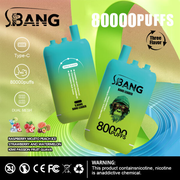 Bang Leader 80000 Puffs D