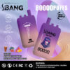 Bang Leader 80000 Puffs E