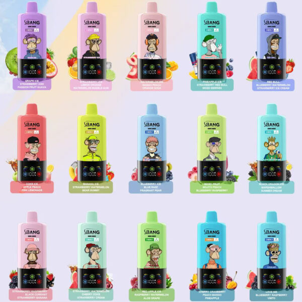 Bang Leader 85000 Puffs B