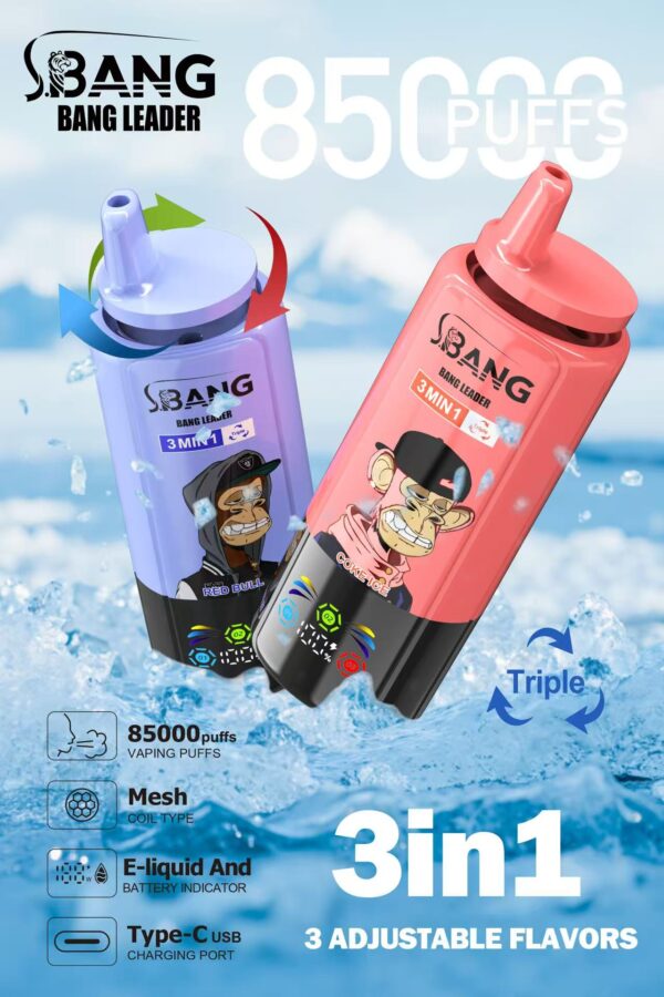Bang Leader 85000 Puffs C