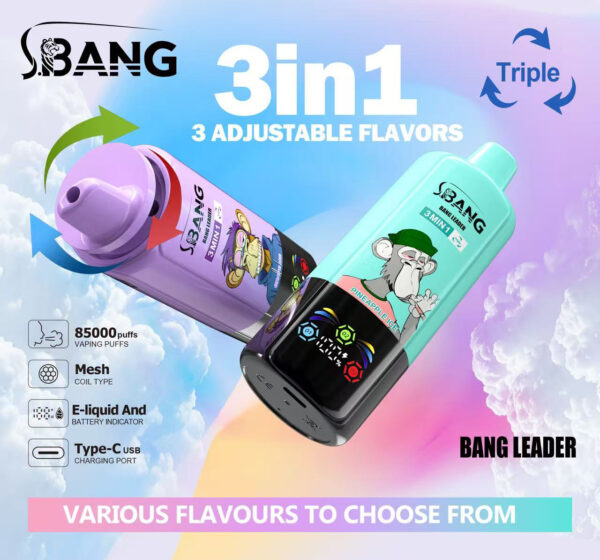 Bang Leader 85000 Puffs D