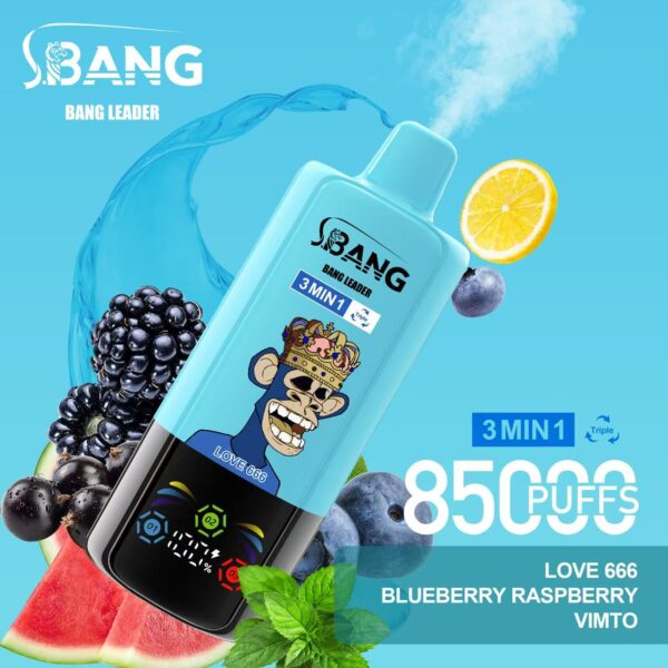 Bang Leader 85000 Puffs E