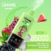 Bang Leader 85000 Puffs F