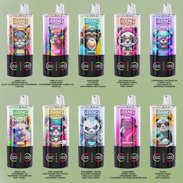 Bang Leader Stoll 100K Puffs 4in1 B