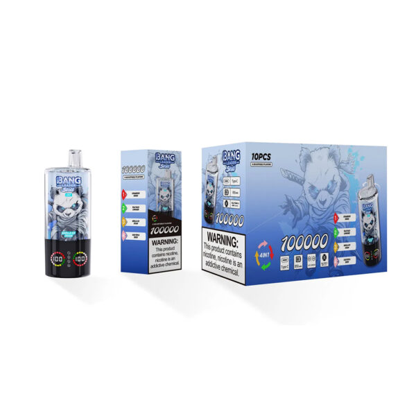 Bang Leader Stoll 100K Puffs 4in1 F