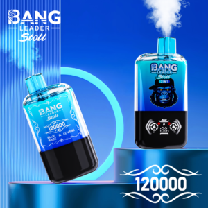 Bang Leader Stoll 120K Puffs A Bang Leader Stoll 120K Puffs A