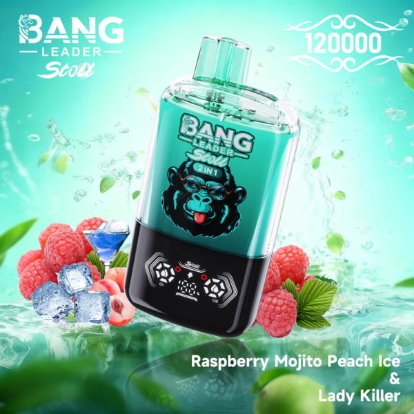 Bang Leader Stoll 120K Puffs F Bang Leader Stoll 120K Puffs F