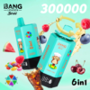 Bang Leader Stoll 300K Puffs 6in1 C Bang Leader Stoll 300K Puffs 6in1 C