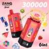 Bang Leader Stoll 300K Puffs 6in1 D Bang Leader Stoll 300K Puffs 6in1 D