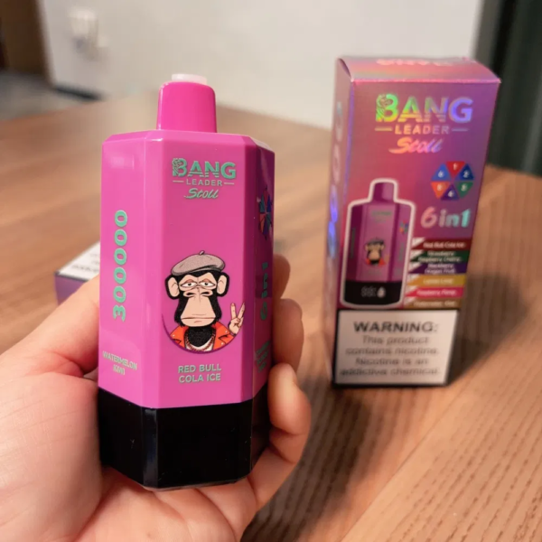 Bang Leader Stoll 300K Puffs 6in1 F Bang Leader Stoll 300K Puffs 6in1 F