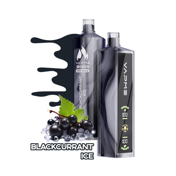 Vapme Shisha Pro Max 20000 Puffs E