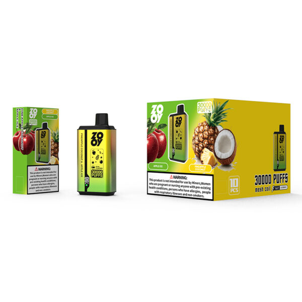 ZOOY Twins 30000 Puffs D